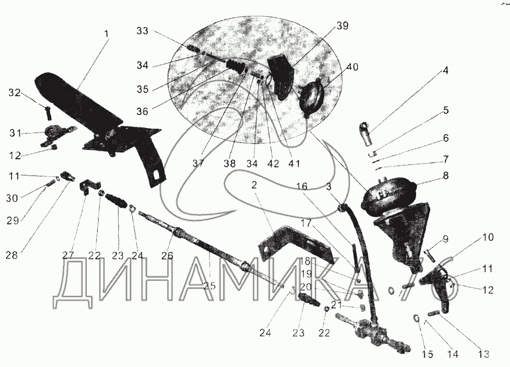 Сцепление маз 184 схема