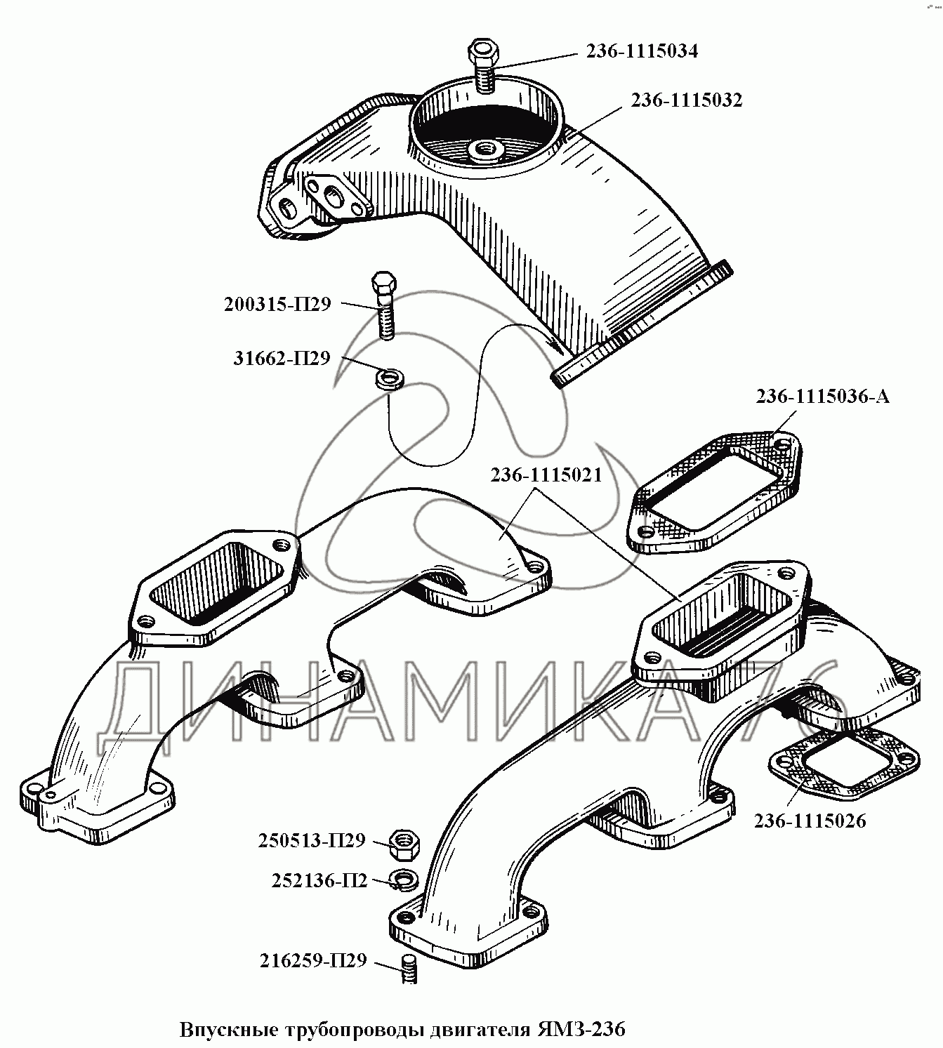 Сальник коренной ямз 236