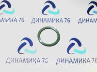 кольцо_ямз_650_10_уплотнительное_трубки_насоса_водяного_автодизель_650-1303018