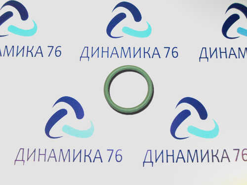 650-1011560 Кольцо уплотнительное теплообменника ЯМЗ-650, ЯМЗ-651 