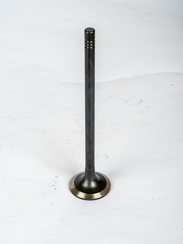 612630050075 Клапан выпускной WP10NG, WP12NG, WP13NG