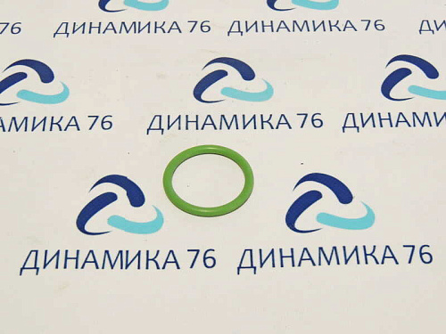 5340-1213054 Кольцо уплотнительное 040-048-46 (ЯМЗ)