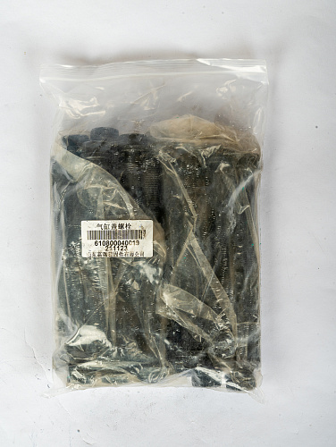 610800040019 Болт головки цилиндра WP7 WP7 NG  Weichai