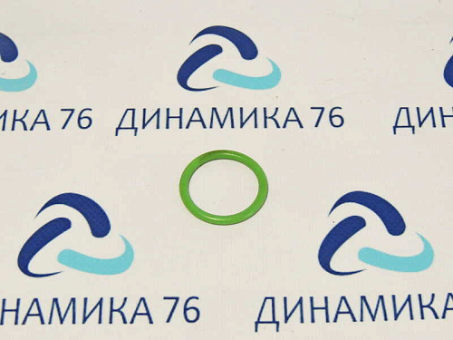 5340-1009294 Кольцо ЯМЗ-534 уплотнительное АВТОДИЗЕЛЬ