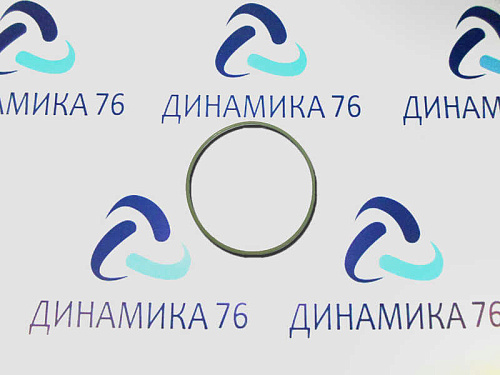 650-1005041 Кольцо ЯМЗ-650.10 уплотнительное втулки коленвала АВТОДИЗЕЛЬ