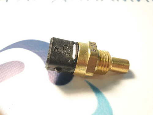 192.3828 Датчик температуры топлива ЯМЗ-656,658 424.3828 (Евро-3) 