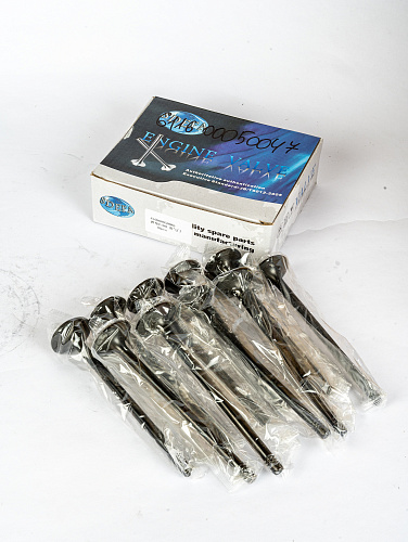 611600050047 Клапан впускной WP10 Weichai