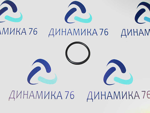 650-1112230 Кольцо ЯМЗ-650.10 уплотнительное насоса-форсунки АВТОДИЗЕЛЬ