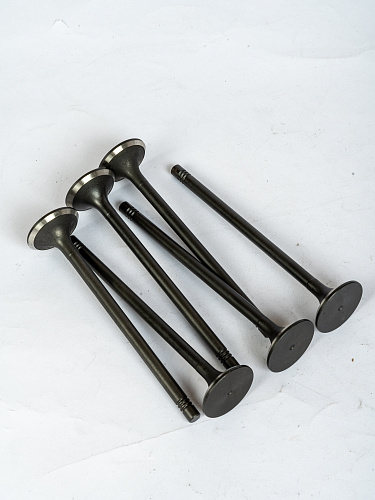 612630050002 Клапан выпускной для Weichai WP12 WP10