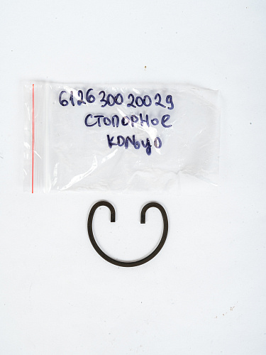 612630020029 Стопорное кольцо WP12 Weichai