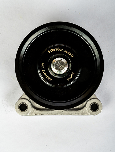 612630060489 Ролик обводной Weichai