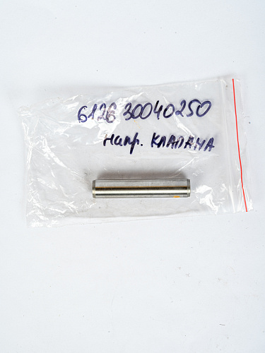 612630040250 Направляющая клапана WP12NG Weichai