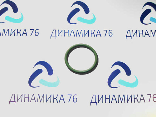 650-1013642 Кольцо ЯМЗ-650.10 уплотнительное трубы теплообменника АВТОДИЗЕЛЬ