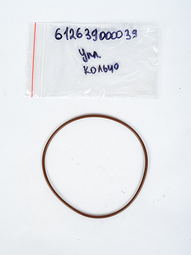 612639000039 Уплотнительное кольцо  Weichai