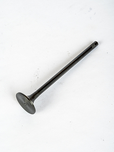 612630050075 Клапан выпускной WP10NG, WP12NG, WP13NG