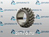 Шестерня ЗИЛ-5301,Д-243 коленвала маленькая ММЗ
