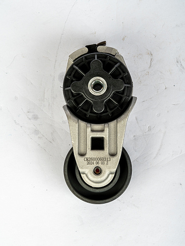 VG2600060313 Натяжитель WD615/WP10 (VG2600060313) 