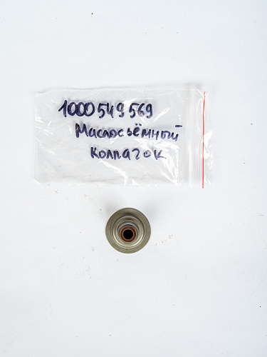 1000549569 Маслосъёмный колпачок Weichai