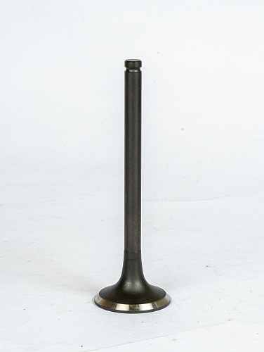 612600050025 Клапан выпускной WP10