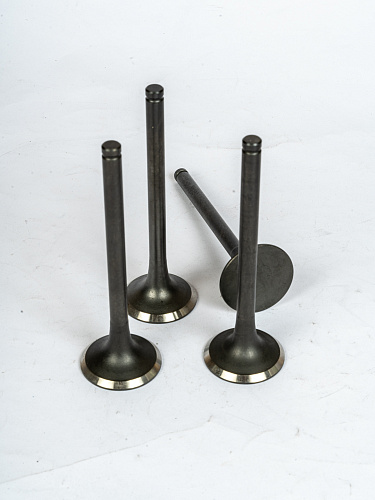 612600050025 Клапан выпускной WP10