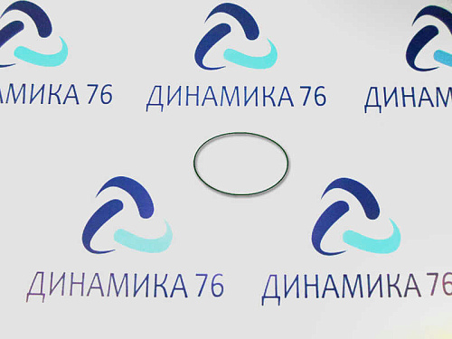 650-1002031 Кольцо ЯМЗ-650 уплотнительное гильзы 0129x2 