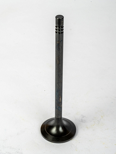 1001735387 Клапан впускной Weichai 1001735387 WP4.1NQ190E50