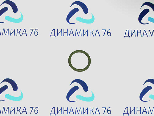 5340-1213044 Кольцо уплотнительное 025-030-30 (ЯМЗ)