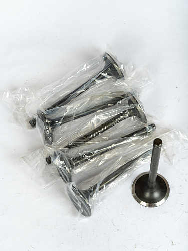 612600050073 Клапан впускной WP10.336E40